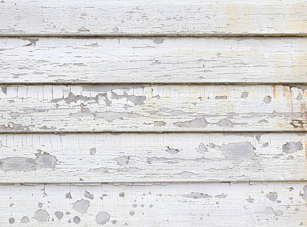 Affordable Siding Repair and Maintenance Services in Preston, MN